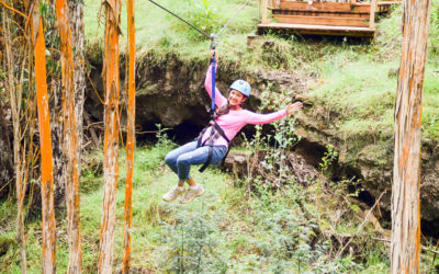 Zipline Through Hawaiian Wilderness