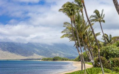 Sugar Beach Resort: The Best in Maui Beachfront Vacation Rentals