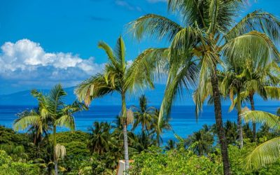 Why Visit Maui? We Top the List for Best Vacation Destinations in the World