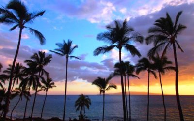 The Latest Maui Vacation Rental Deals