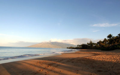 South Maui Tour – North Kihei