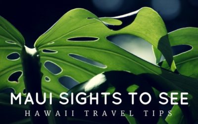 Must See Sightseeing in Maui Hawaii