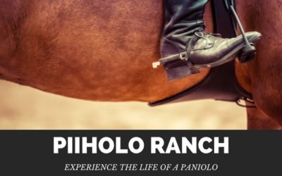 Experience the Life of a Paniolo at Piiholo Ranch