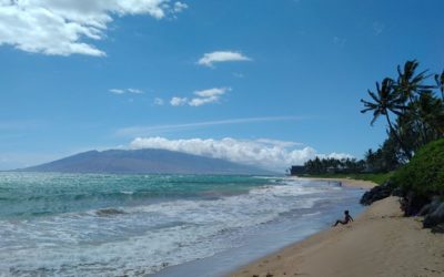 Top 3 Beaches in South Maui