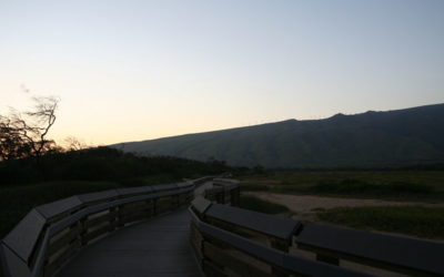 Kealia Pond National Wildlife Refuge Hosts Maui Family Fun Events