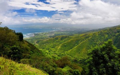 Safety Tips for Your Maui Hikes