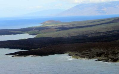 La Perouse Bay