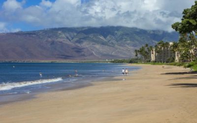 Maalaea Surf Resort is a Top Condo Rental Pick for Your Maui Vacation