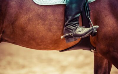 What to do in Hawaii: Horseback Riding on Maui