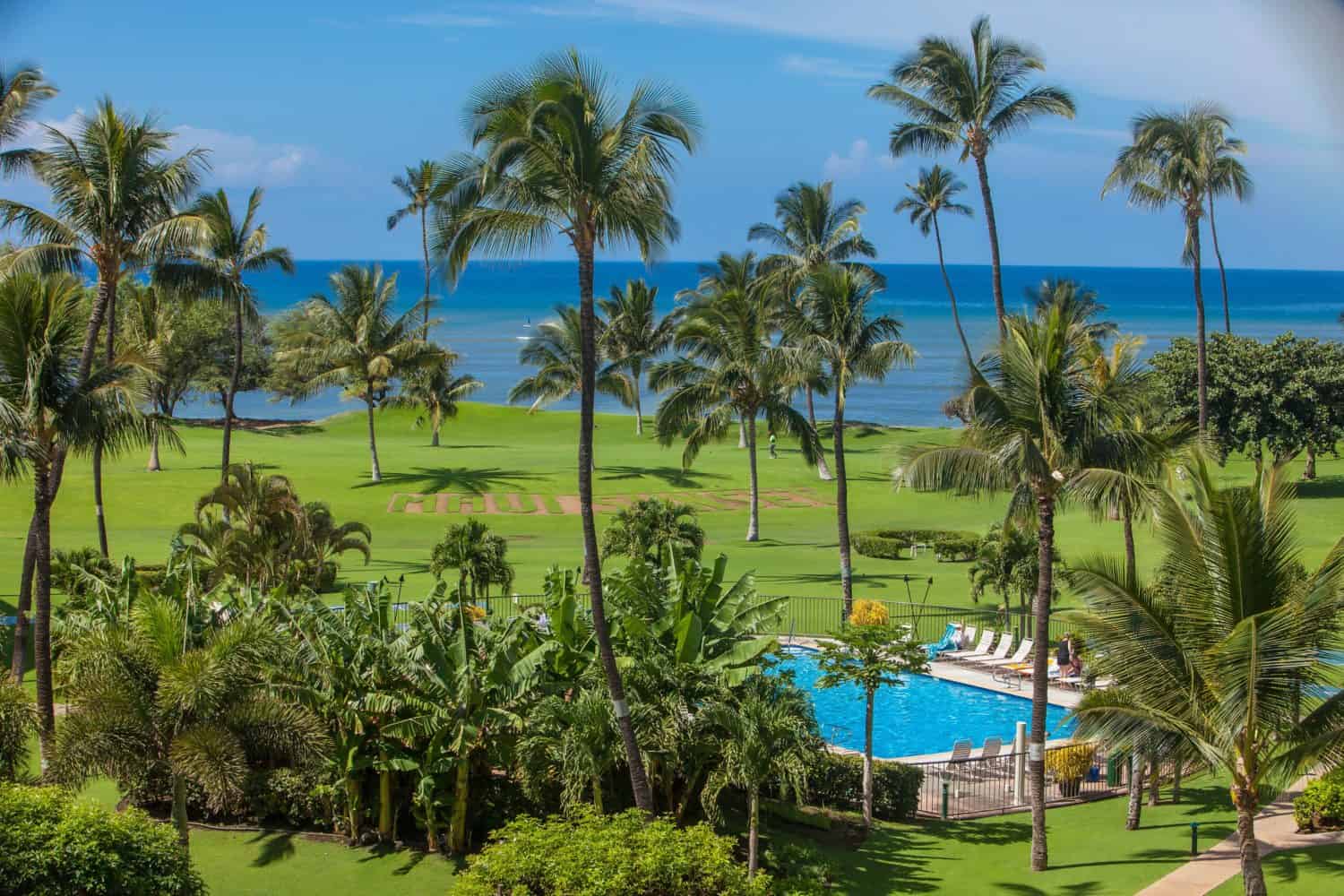 Maui Sunset Resort Oceanfront Vacation Condos: Rental Spotlight