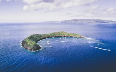 Dive Into Maui’s Marine Wonderland: Top Snorkeling & Diving Spots